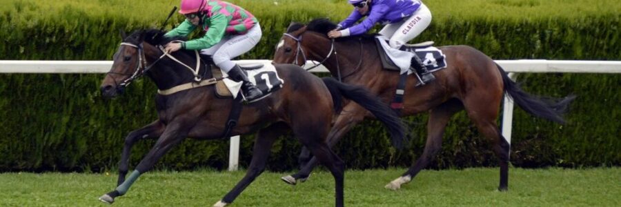 今週の注目馬☆推薦馬