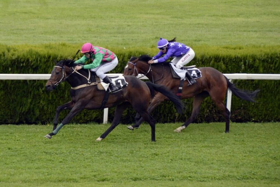 今週の注目馬☆推薦馬