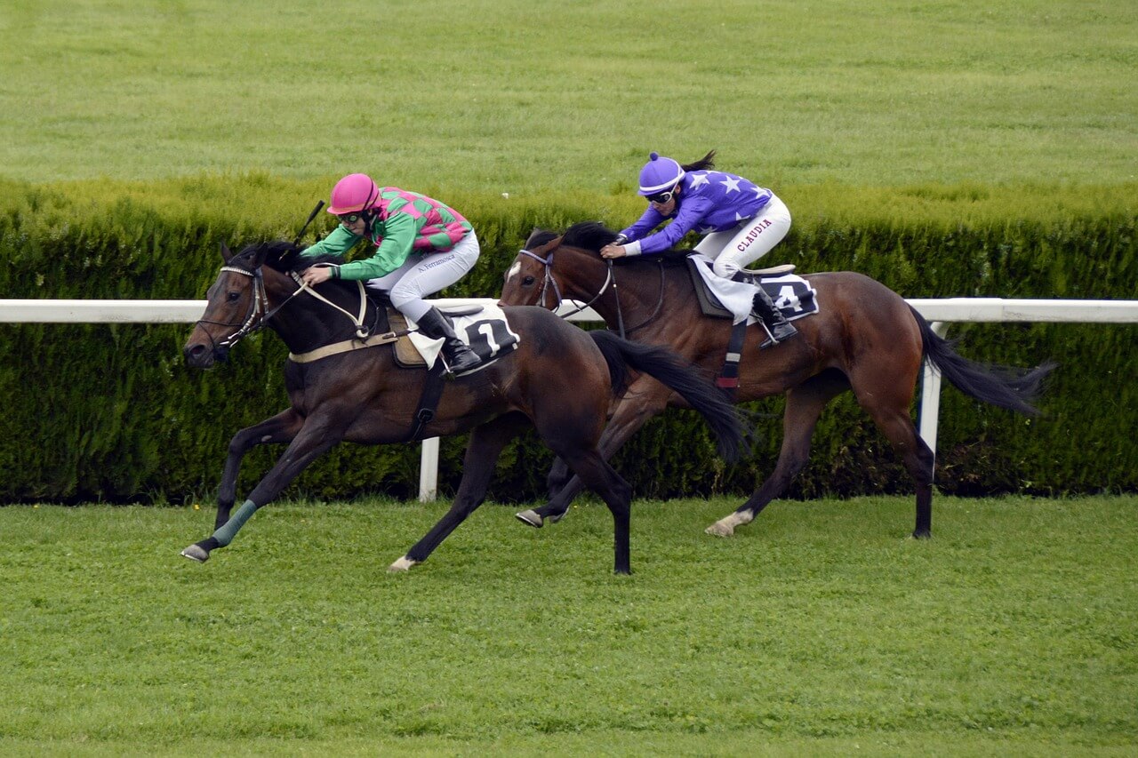 今週の注目馬☆推薦馬