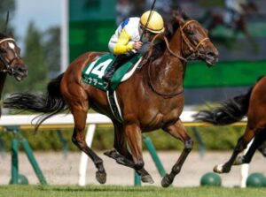 kanate-pu-カナテープ