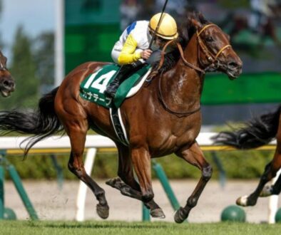 kanate-pu-カナテープ