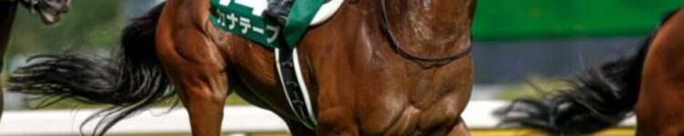 カナテープとキング騎手はすごい！＆【特別案内】