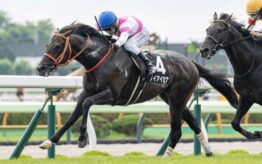 keiaisena ケイアイセナ