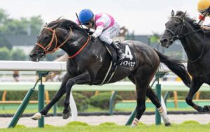 keiaisena ケイアイセナ