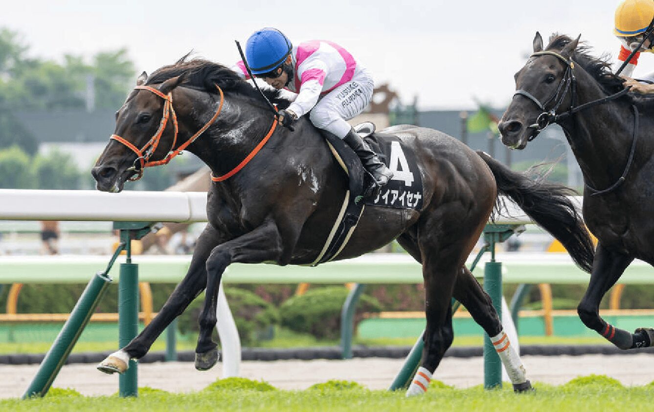 keiaisena ケイアイセナ