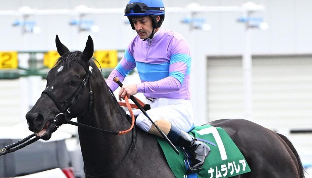 namurakurea-ナムラクレア