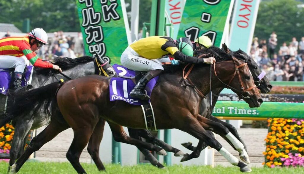 NHKマイルC　2025-5-11