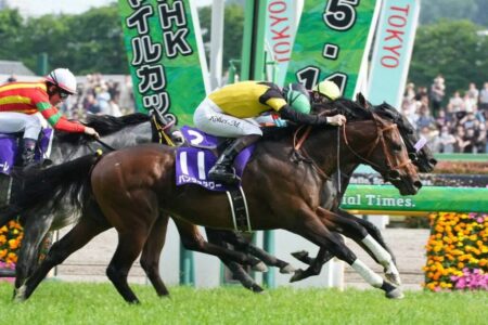 NHKマイルCから得たもの・・・【2025/5/11/東京競馬】