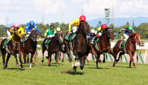 新潟記念-niigatakinen