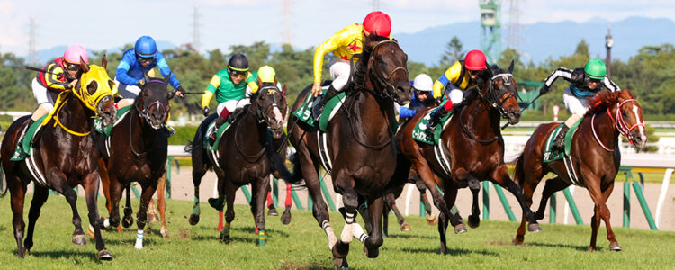2025年8月31日（日）注目馬☆推薦馬＆参考買い目
