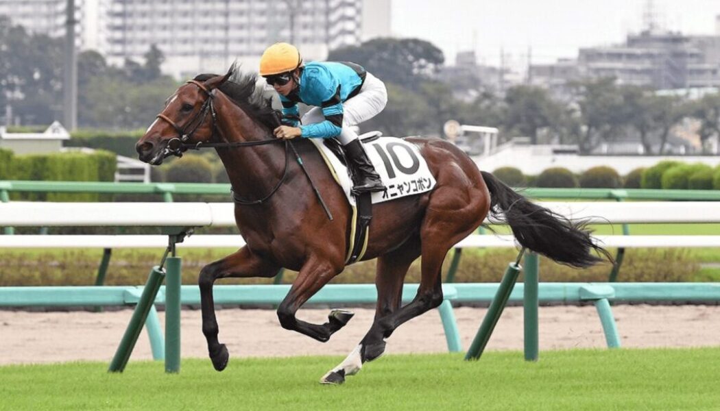 オニャンコポンは元気！＆【会員案内】