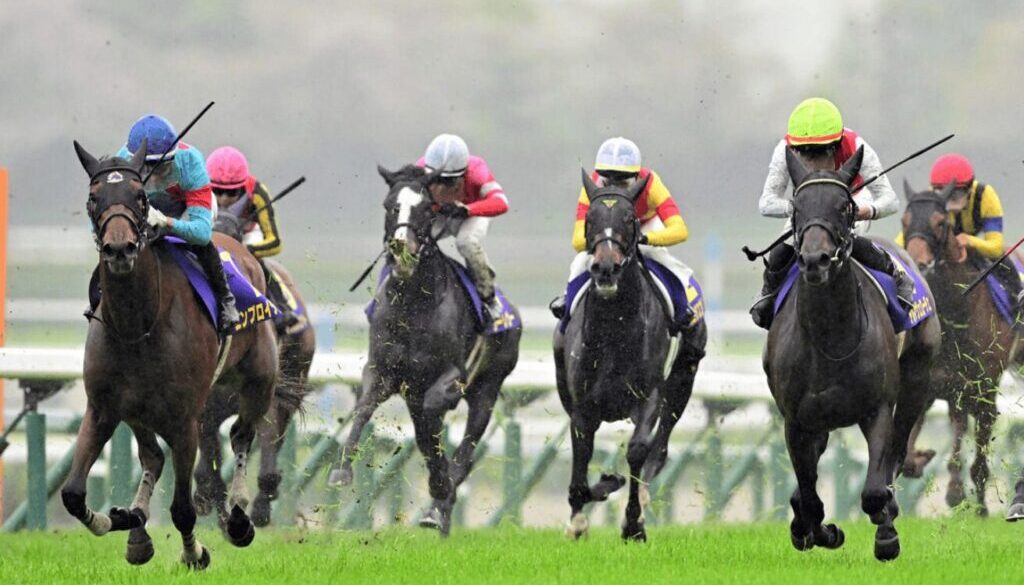 oukashou-2025-04-13-1