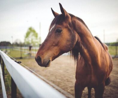 pexels-kaboompics-com-6468