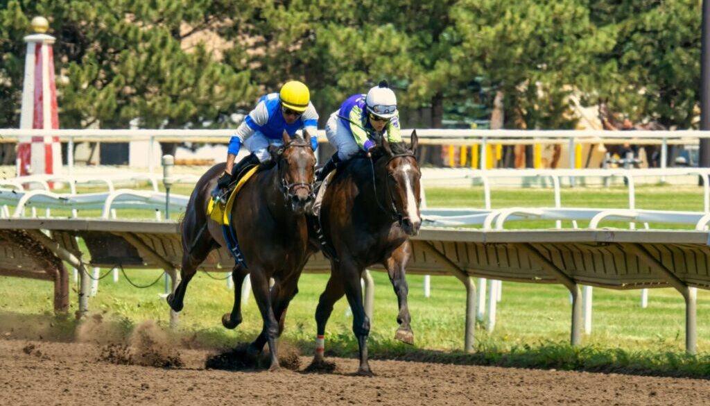 pexels-tom-fisk-13055808