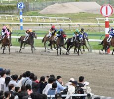 盛岡競馬-moriokakeiba