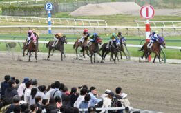 盛岡競馬-moriokakeiba