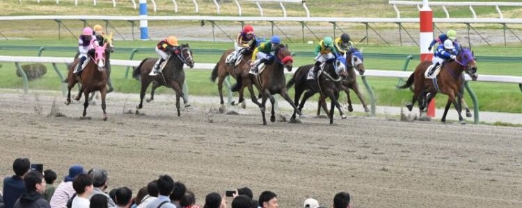 不来方賞（JpnII)【盛岡競馬】