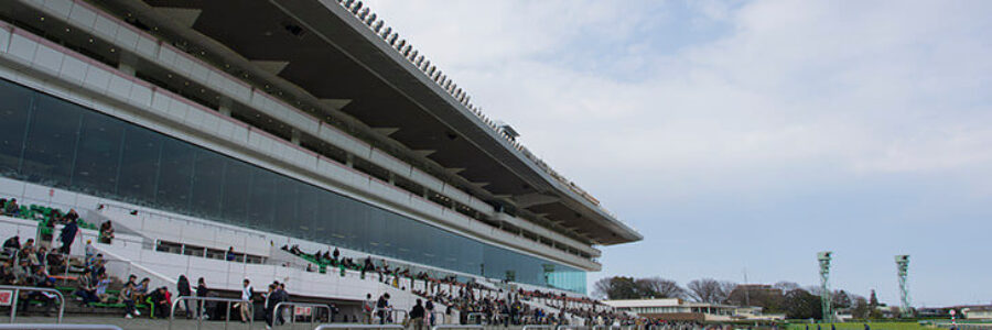 2022年5月15日（日）注目馬☆推薦馬＆参考買い目