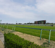 photo0000-4217