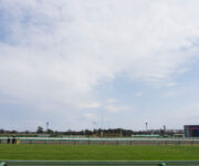 photo0000-4218