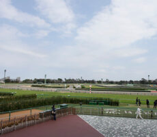 競馬場