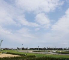 photo0000-4226