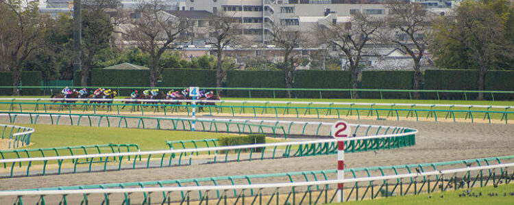 エンプレス杯（G2）（川崎）