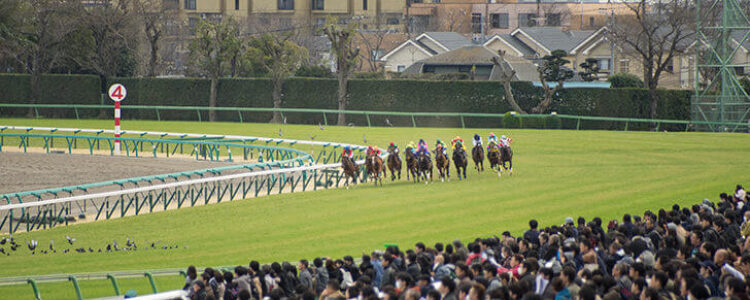 2024年5月5日（日）注目馬☆推薦馬＆参考買い目