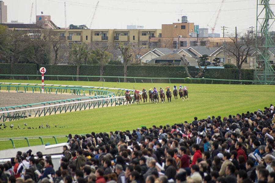 2025年5月4日（日）■天皇賞（春）■注目馬/参考買い目■