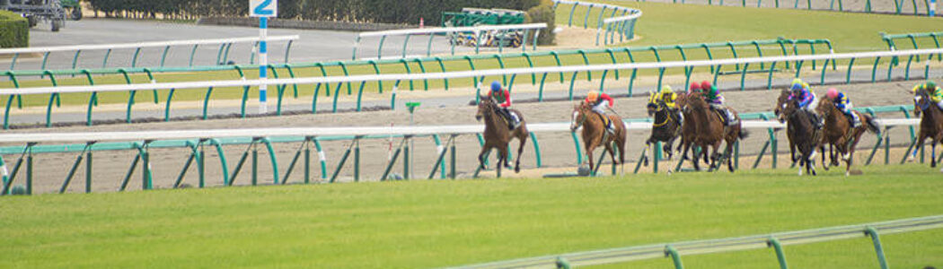 2022年5月1日（日）注目馬☆推薦馬＆参考買い目