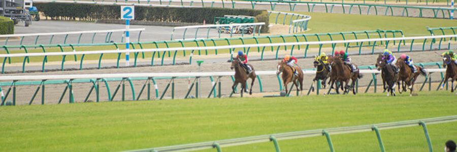 2022年6月12日（日）注目馬☆推薦馬＆参考買い目