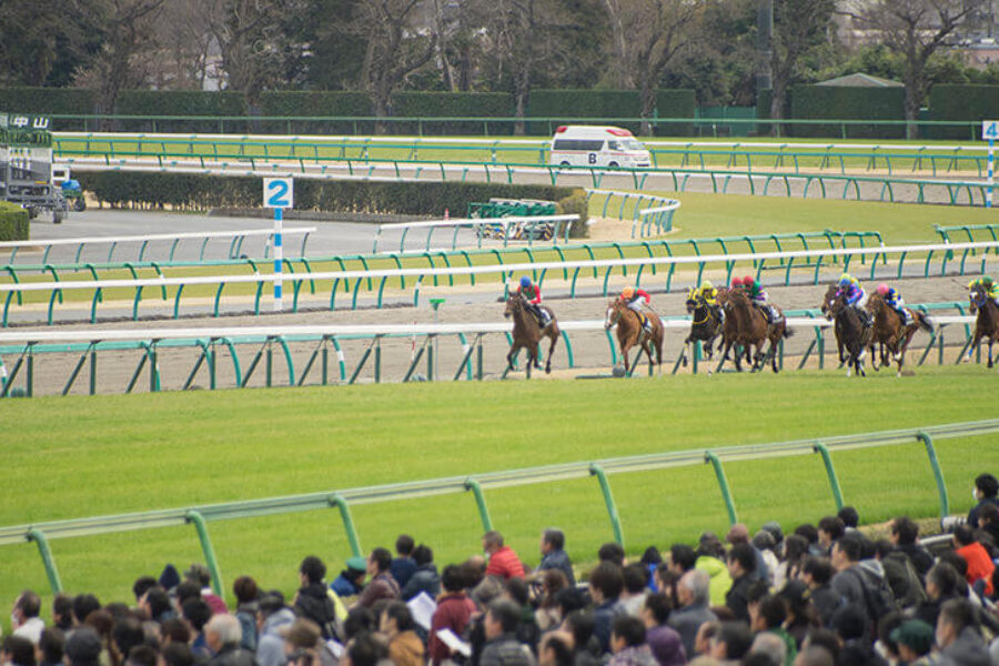 2022年5月1日（日）注目馬☆推薦馬＆参考買い目