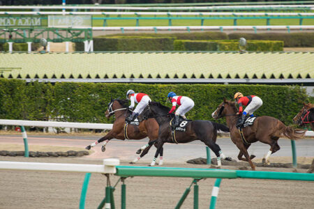 2023年11月5日（日）注目馬☆推薦馬＆参考買い目