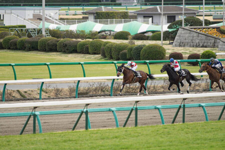 2022年5月22日（日）注目馬☆推薦馬＆参考買い目