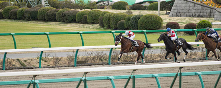 2022年5月22日（日）注目馬☆推薦馬＆参考買い目