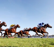 pic_race07