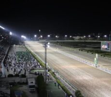 race_course_top_43
