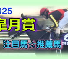 satsukishou-2025-bana