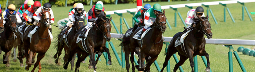 2023年8月19日（土）注目馬☆推薦馬＆参考買い目