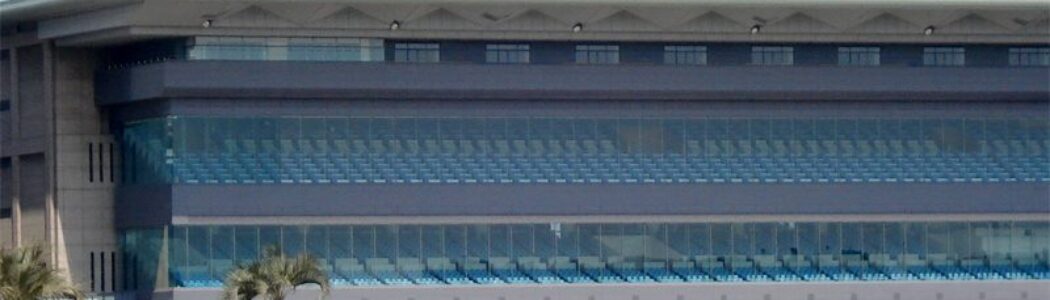2024年11月3日（日）注目馬☆推薦馬＆参考買い目