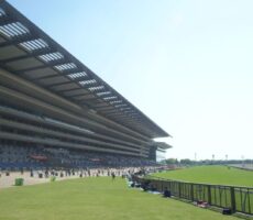 東京競馬場　ヴィクトリアマイル
