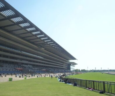 東京競馬場　ヴィクトリアマイル