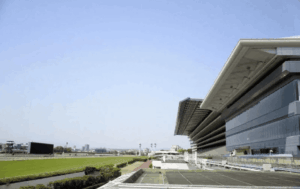 tokyokeibazyou-東京競馬場