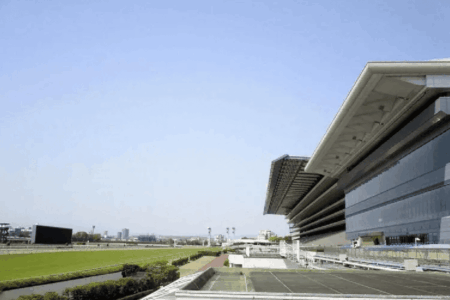 2025年10月12日（日）注目馬☆推薦馬＆参考買い目