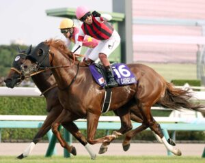 ウインカーネリアン