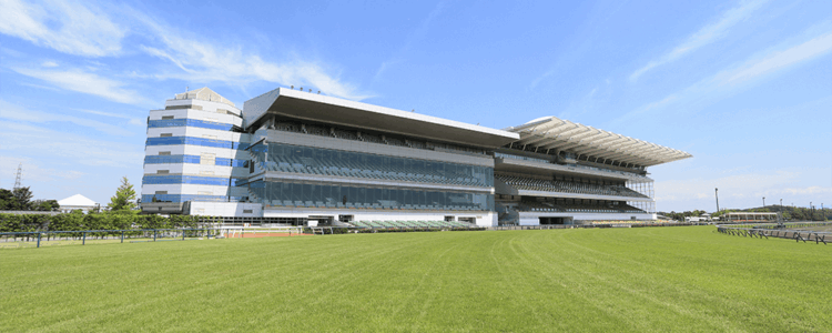 高松宮記念を終えて・・・【2025/3/30/中京競馬】
