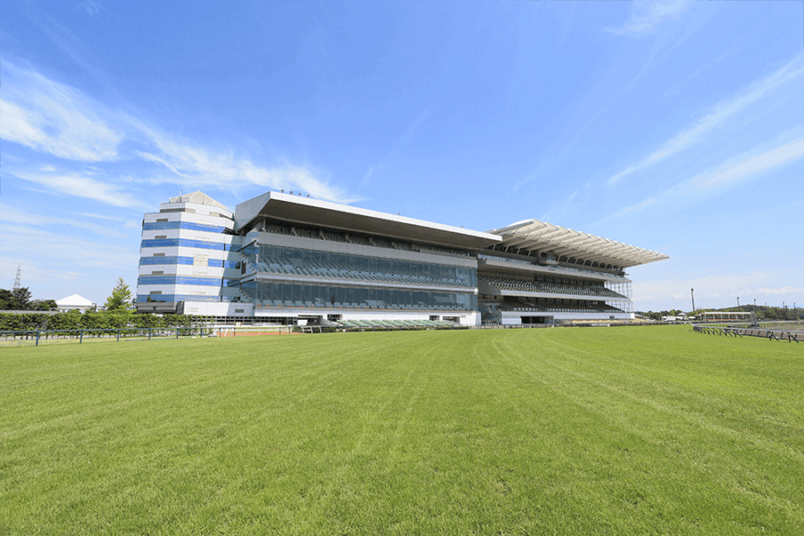 高松宮記念を終えて・・・【2025/3/30/中京競馬】