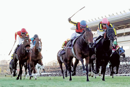 有馬記念（GI)　2025/注目馬☆推薦馬/参考買い目