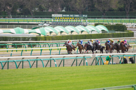 2026年2月15日（日）注目馬☆推薦馬＆参考買い目