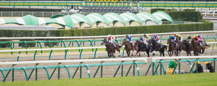 2026年2月15日（日）注目馬☆推薦馬＆参考買い目